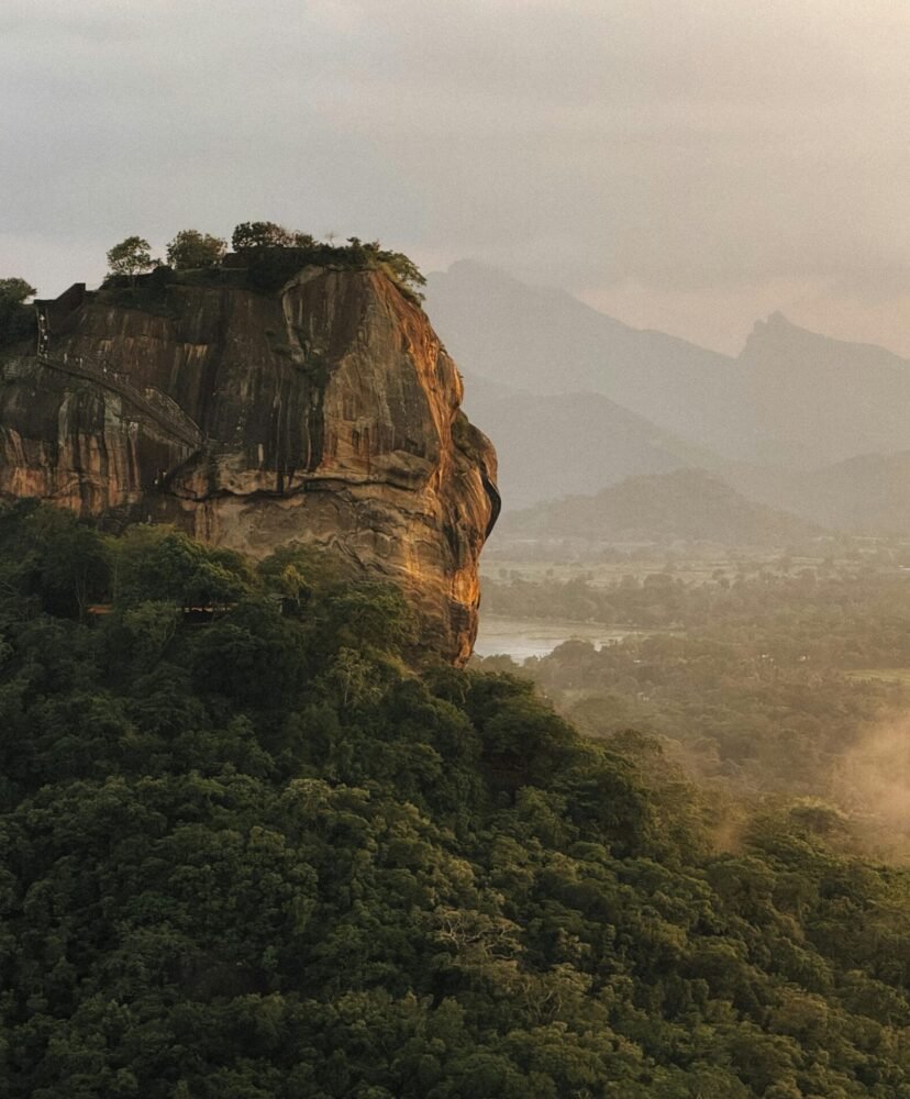 pexels-marina-zvada-844583049-35606860