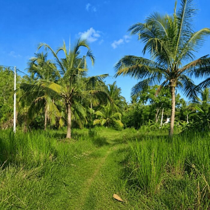 P18.jpg