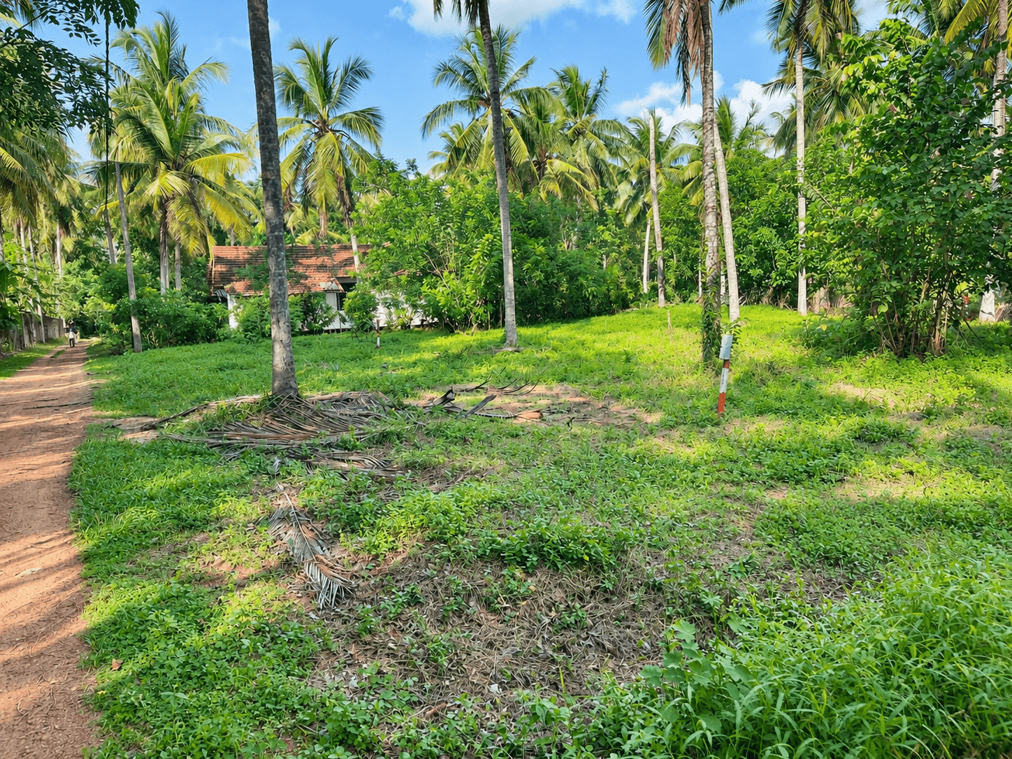 90 Perches Land for Sale In Pannala